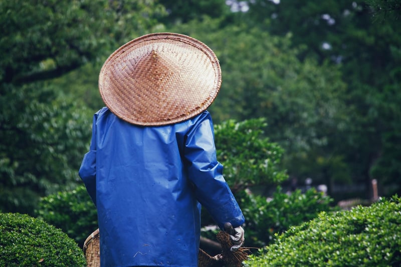 Gardeners exchanging plants
