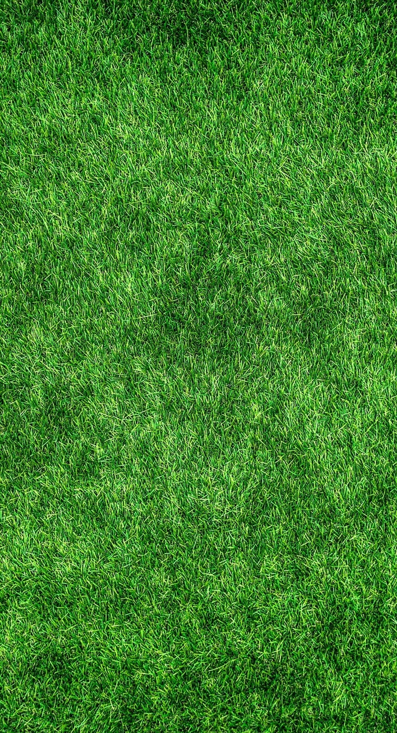 Landscaping Design